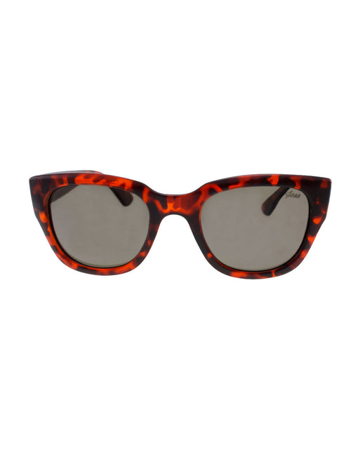 Load image into Gallery viewer, Jase New York Delano Sunglasses in Havana