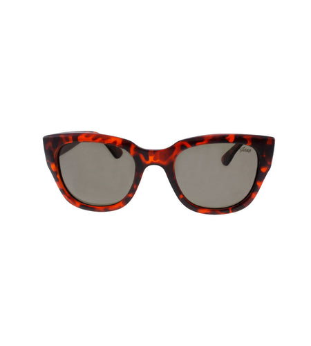 Jase New York Delano Sunglasses in Havana
